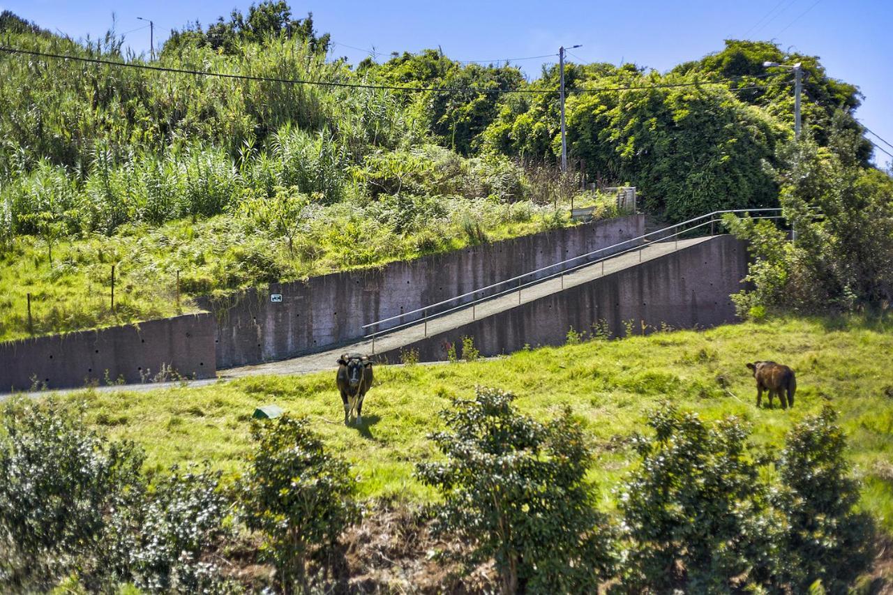 Casa Afonso Na Madeira Villa Sao Jorge  Exterior photo